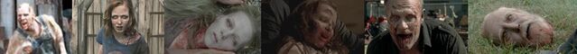 Archivo:Banner1.jpg