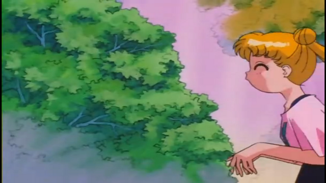 Archivo:Serena.png