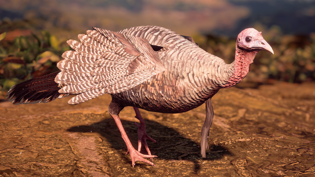 File:Turkey.png