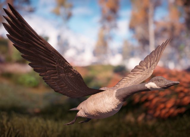 File:Goose.png