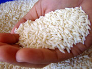 Sticky-rice-grains