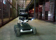 Riotbot