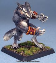 Packchampion