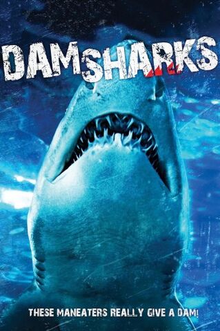File:DamSharks.jpg