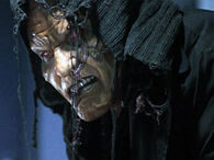Djinn-1-