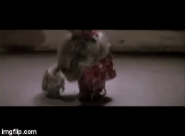 File:Rewbo.gif