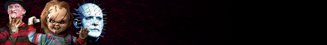 File:Banner bottom.png
