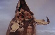 Graboid