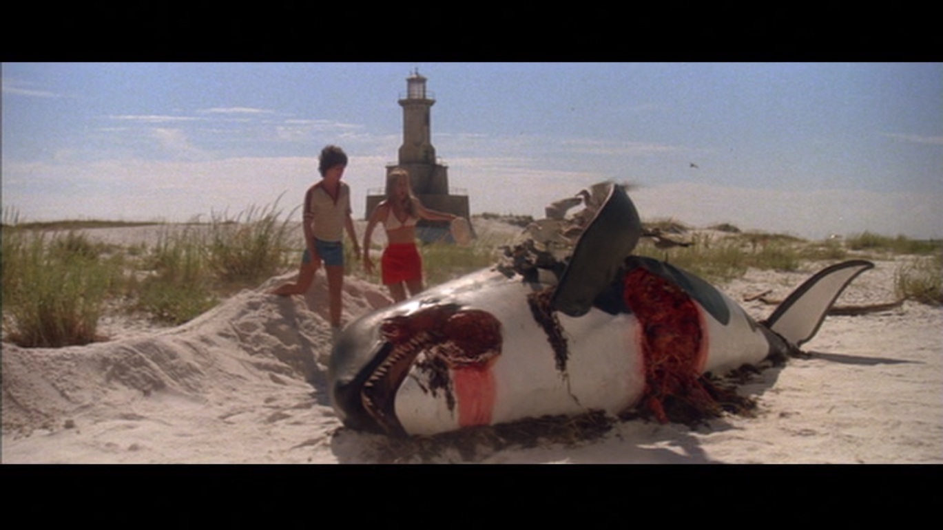 Jaws 2 horror film wiki fandom powered by wikia