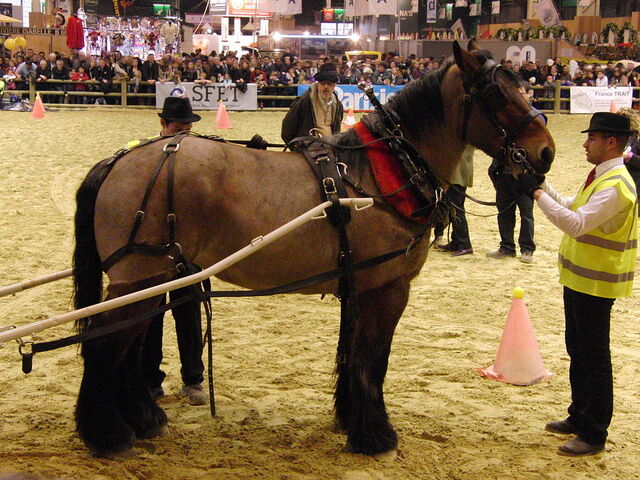 File:Image-1470942030.jpeg