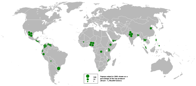 File:Map of papaya output in 2005.png