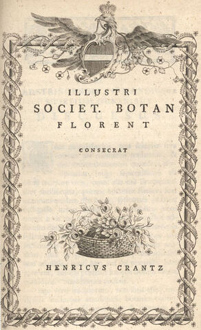 File:366px-H J N Crantz Classis cruciformium.jpg