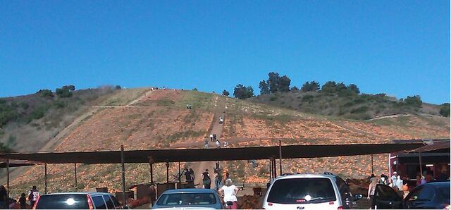 File:800px-Camarillo pumpkin patch.jpg