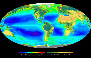 350px-Seawifs global biosphere