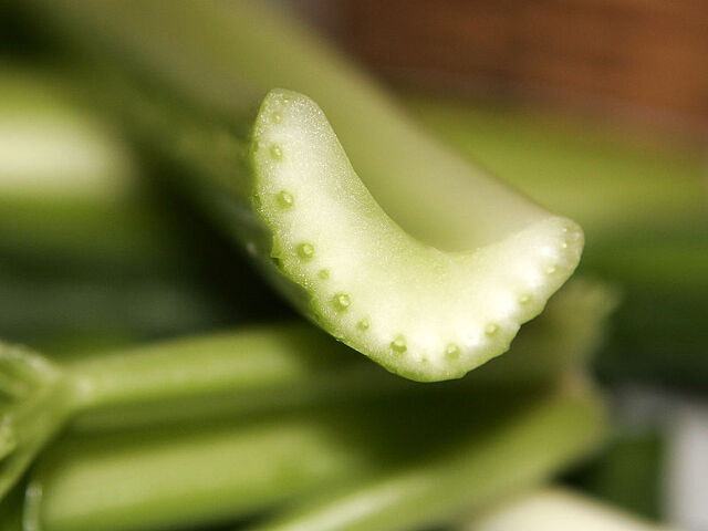 File:800px-Celery cross section.jpg