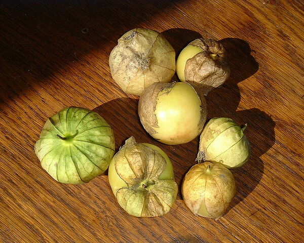 File:750px-Tomatillo.jpg