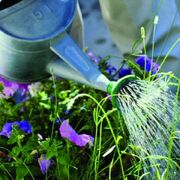 Gardening