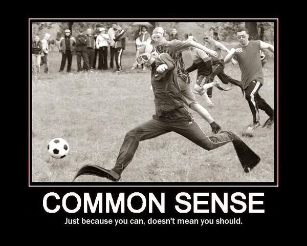 File:CommonSense.jpg