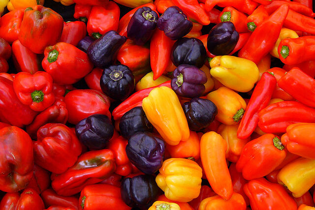 File:800px-Capsicum annuum.jpg
