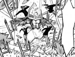 Crow vs parot