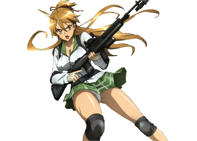 Archivo:Springfield A1M1.png