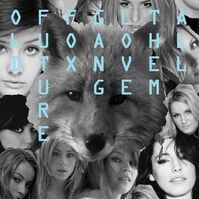 OLD FUTUTRE FOX GANG