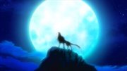 Wolf King 2