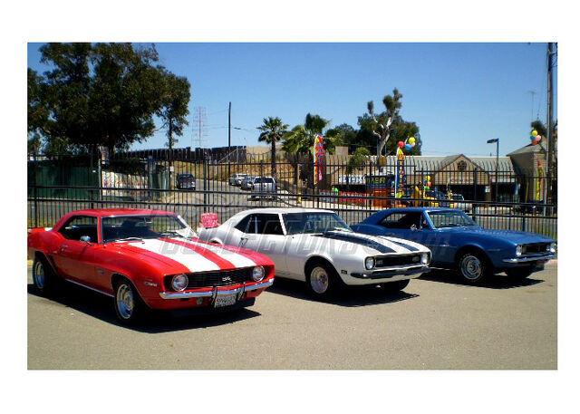 File:Camaros.jpg