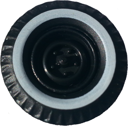 File:Black WWCCRR.png