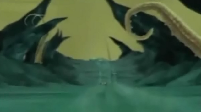 File:Squid Zone.png