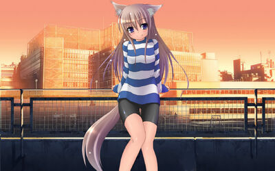 Anime Girl-Cat 021571