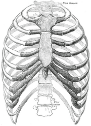 Gray112