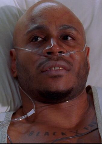 File:House-M-D-2x01-Acceptance-house-md-22302950-1600-900.jpg