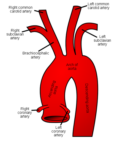 File:485px-Gray506 svg.png