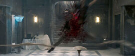 NorrisDeath