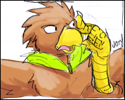 Regular Hawk