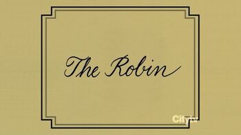 640px-The Robin.jpg