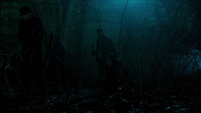 Archivo:Bosque-109.png