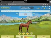 Yraeta's horse Chills