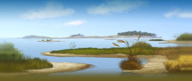 File:Camargue Background.jpg