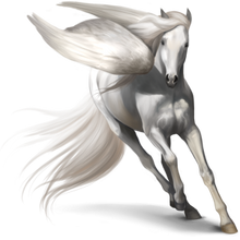 Pegasus GA coat