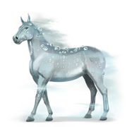 Dew
