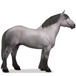 Percheron2.png