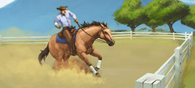 Reining-0.png
