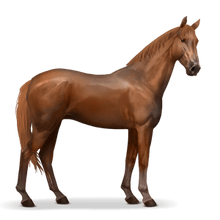 Deutsches Reitpferd Fuchs.png