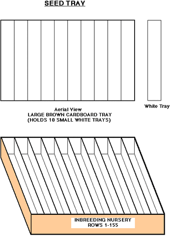 File:TRAY.gif