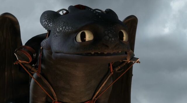 File:Toothless(75).jpg