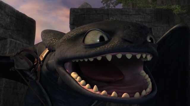 File:Toothless(109).jpg
