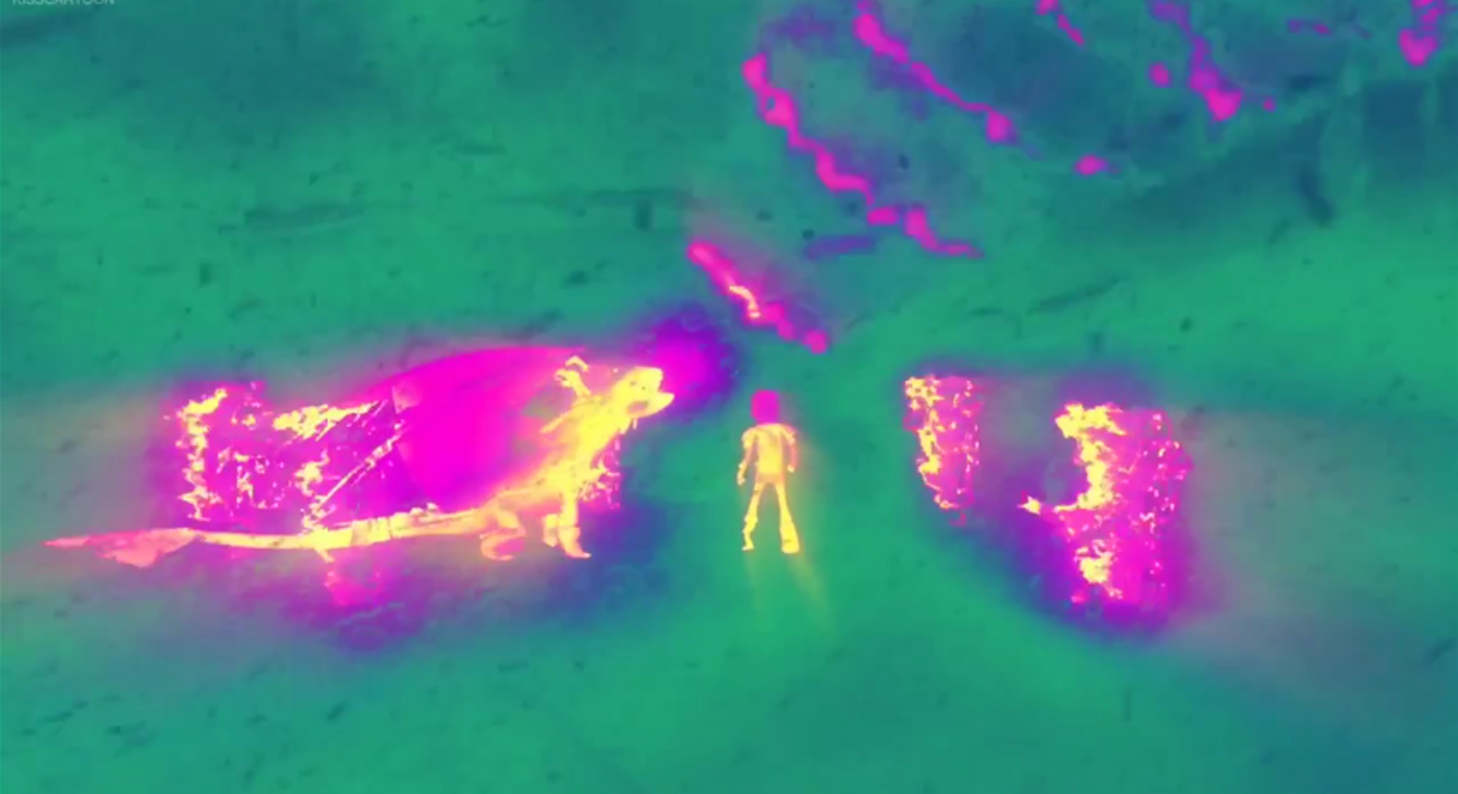 Image - Snow wraith thermal vision.png | How to Train Your Dragon Wiki