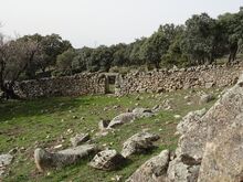 Colmenar del Sevillano portera y almendro